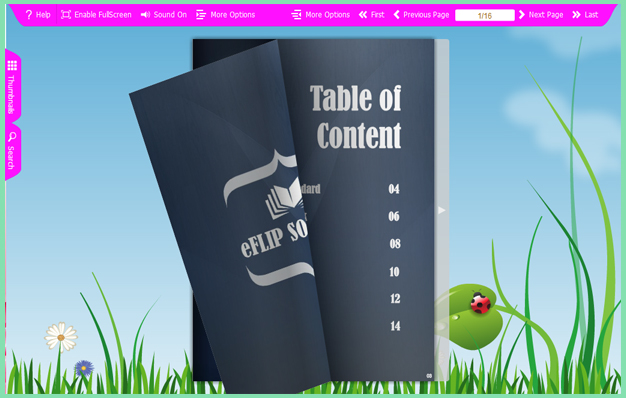 eFlip Flipbook Software screenshot eFlip Flipbook Software screenshot