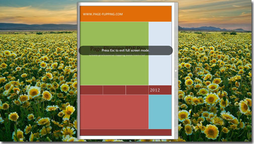 display the page flipping book