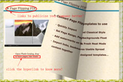 publicize_page_flipping_pdf_pro