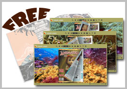 page flipping cover - sea world