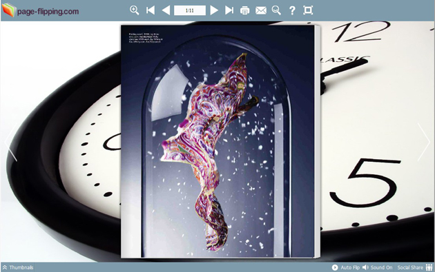 page flipping book themes screenshot