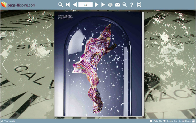 page flipping book themes screenshot