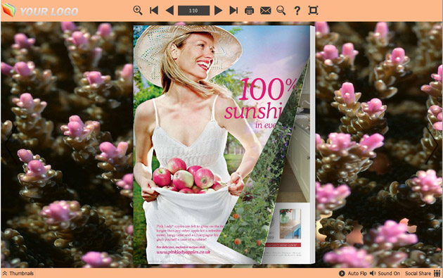 page flipping book themes screenshot2