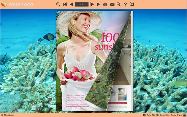 page flipping book themes screenshot3