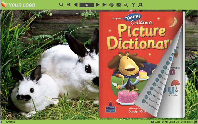 page flipping book themes screenshot2