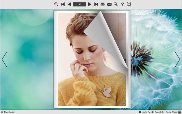 Dandelion Page Flipping Themes screenshot