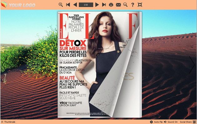 page flipping book themes screenshot3