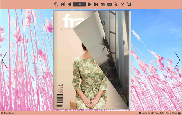 page flipping book themes screenshot2
