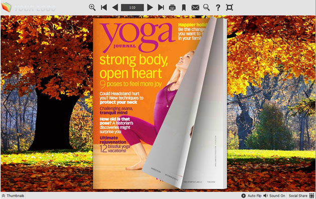 page flipping book themes screenshot2