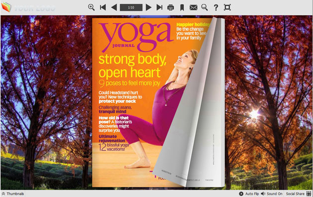 page flipping book themes screenshot3