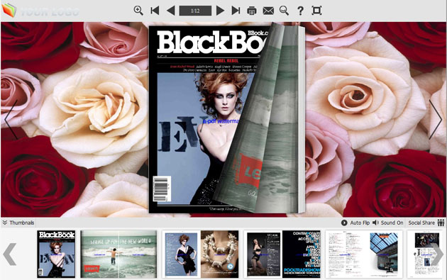 page flipping book themes screenshot