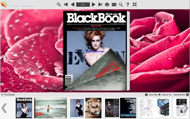 page flipping book themes screenshot
